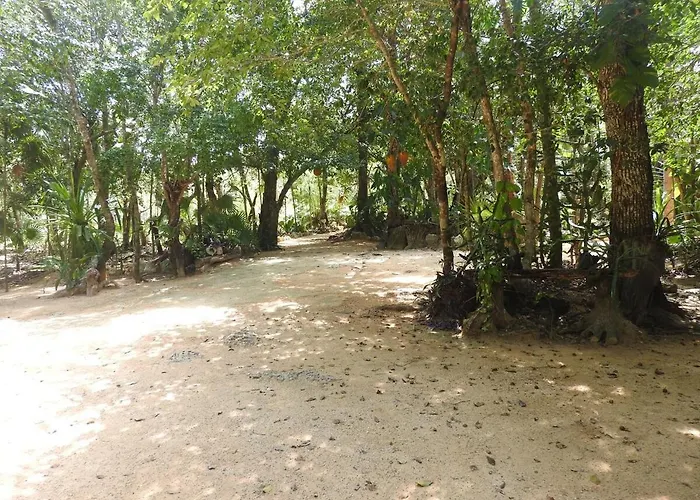 Palapa Con Cenote Privado *