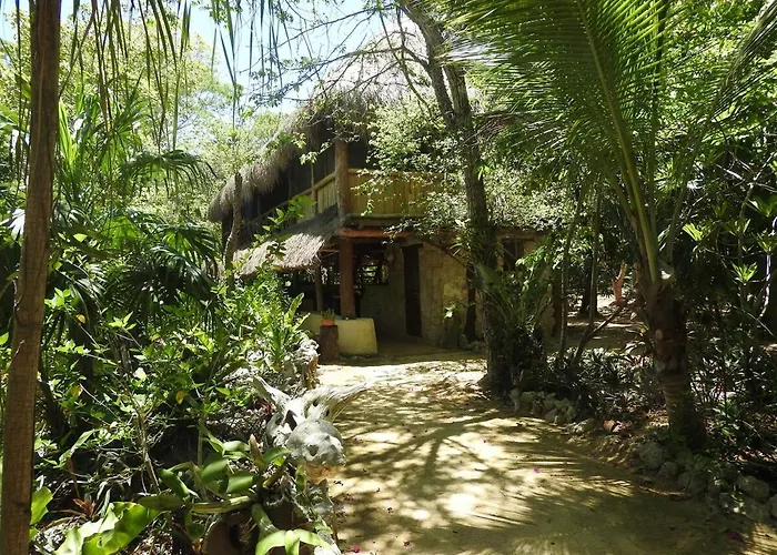 Palapa Con Cenote Privado Apartment *