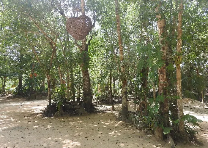 Palapa Con Cenote Privado Apartment Akumal
