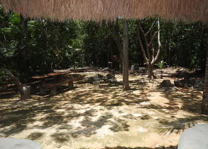 Palapa Con Cenote Privado *