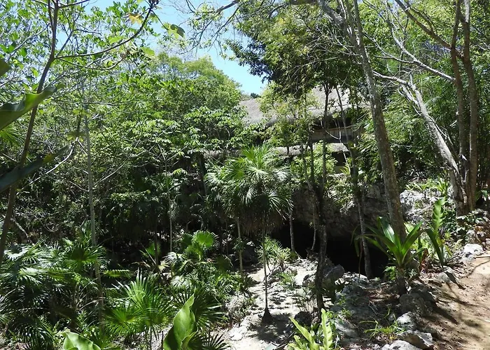 Palapa Con Cenote Privado *