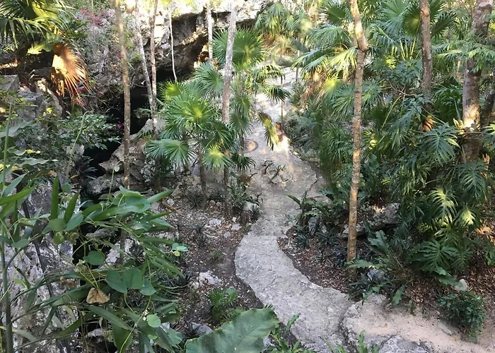 Palapa Con Cenote Privado * Akumal