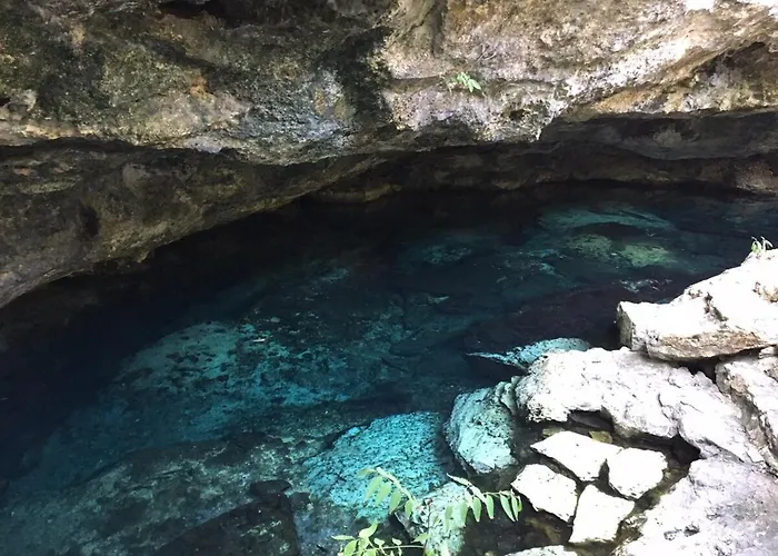 Palapa Con Cenote Privado Apartment