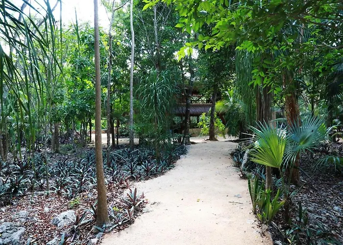 Apartment Palapa Con Cenote Privado