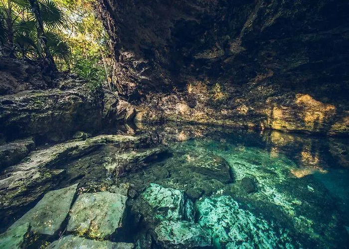 Palapa Con Cenote Privado Akumal