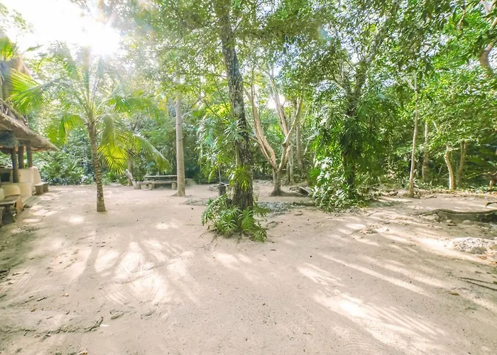 Palapa Con Cenote Privado