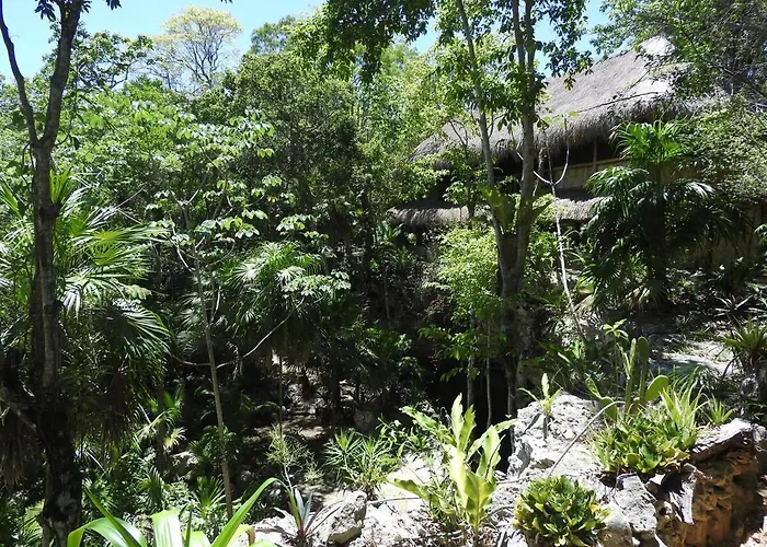 Apartment Palapa Con Cenote Privado